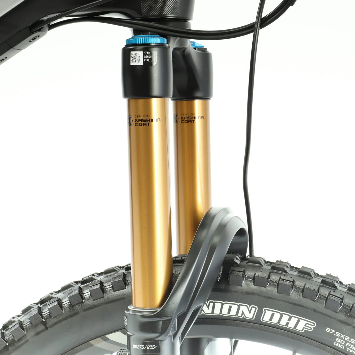 Kashima coating fox sales