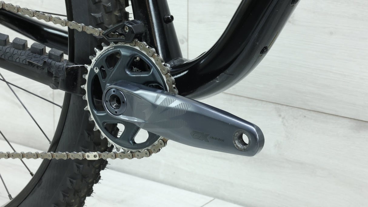 Gato de madera de salsa 2023