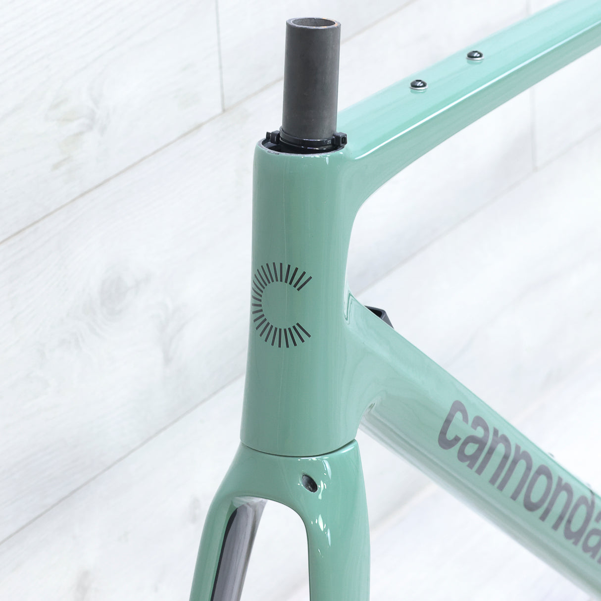 Cannondale Synapse Carbon 2 LE Road Bike Frameset - 2024, 56cm