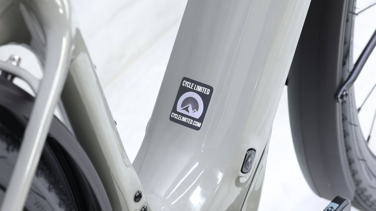 Cannondale Tesoro Neo Carbon 1 Commuter E-Bike - 2024, Medium