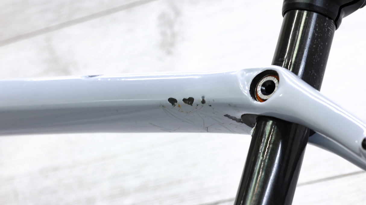 Trek Checkpoint SL 5 Gravel Bike - 2020, 54cm