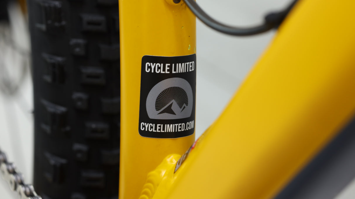 Banshee Paradox V3 Mountain Bike - 2021, X-Large