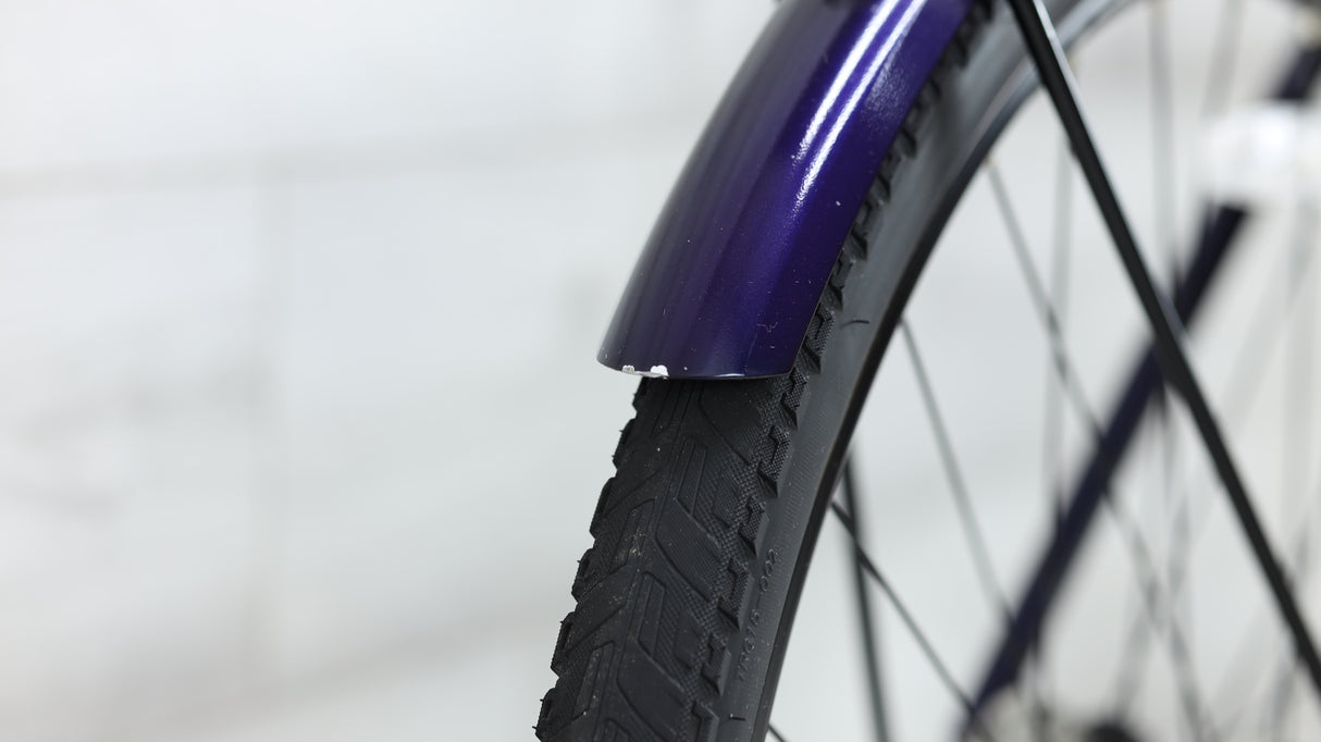 2019 Trek Verve+ E-Bike - Large