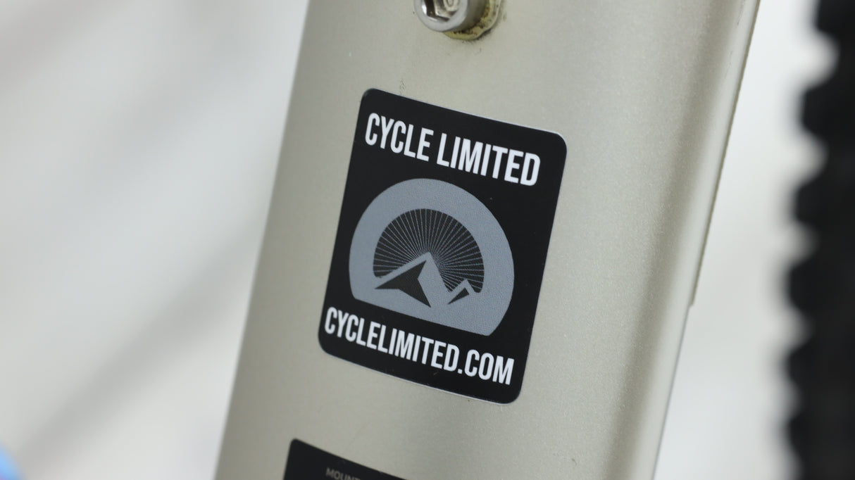 2020 Giant Trance 29 3 Mountain Bike - Large