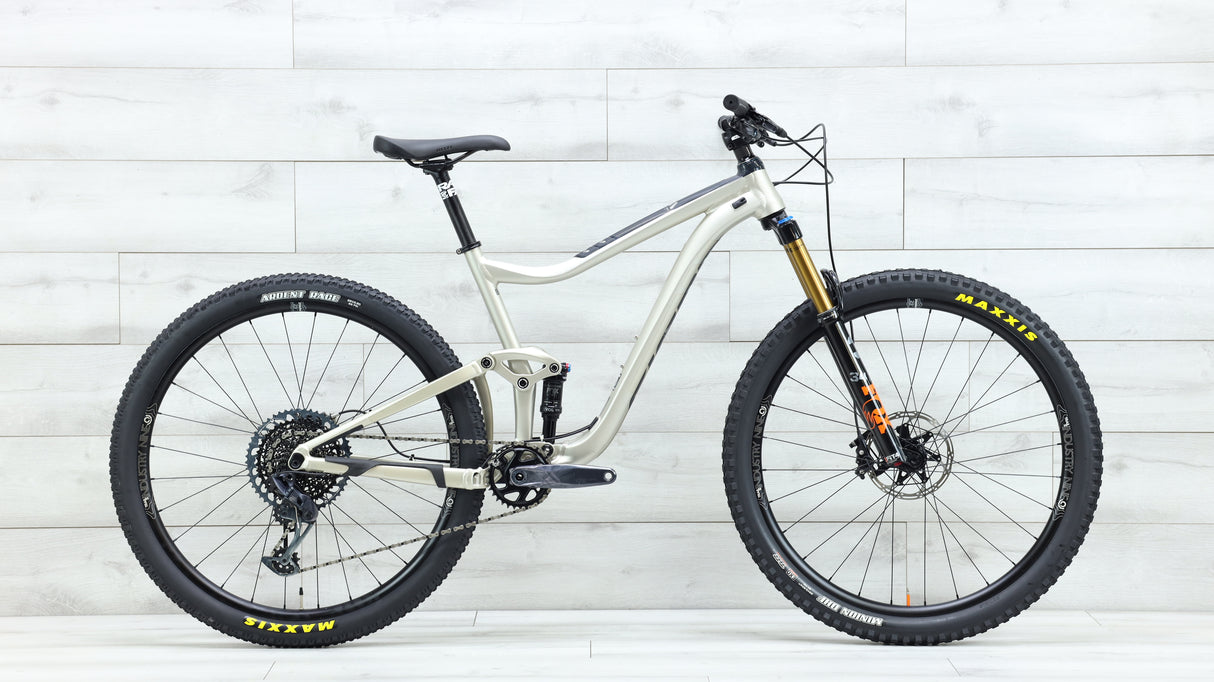 2020 Giant Trance 29 3 Mountain Bike - Large