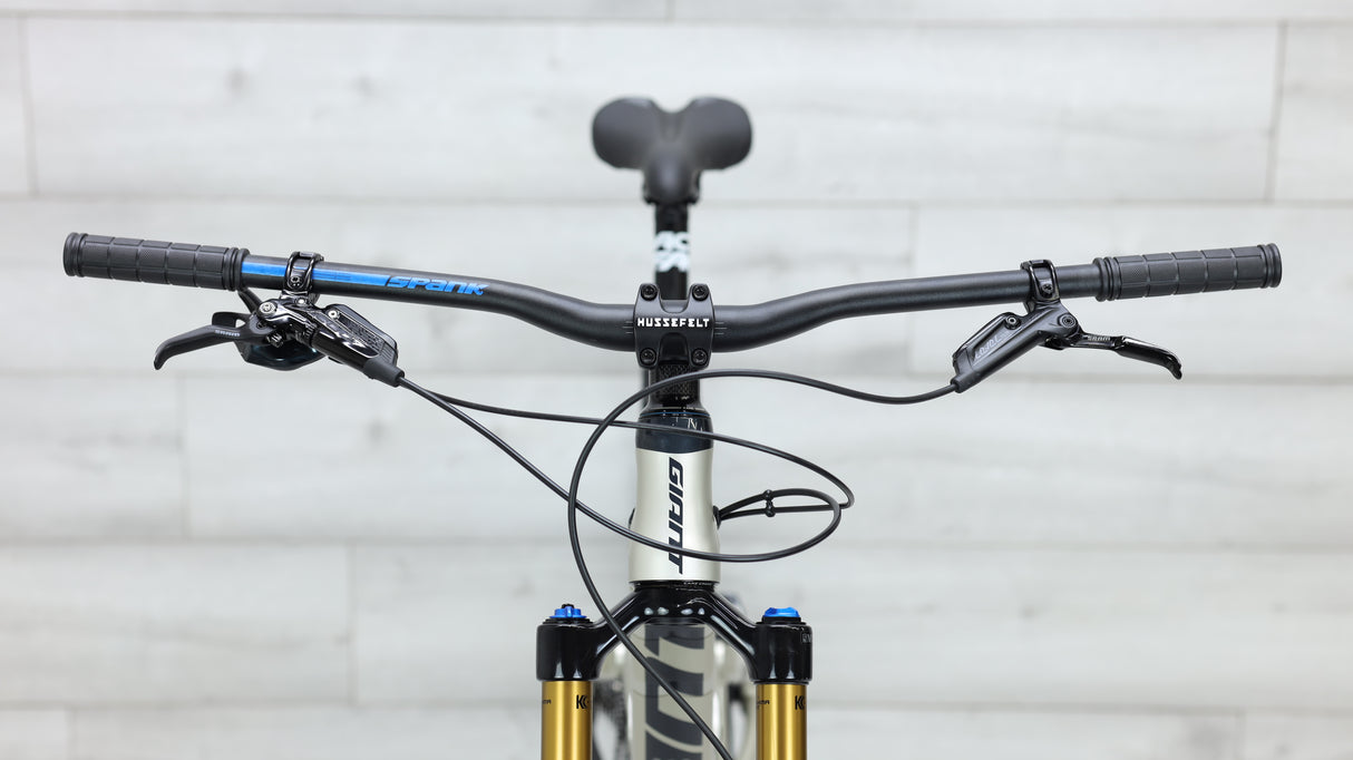 2020 Giant Trance 29 3 Mountain Bike - Large