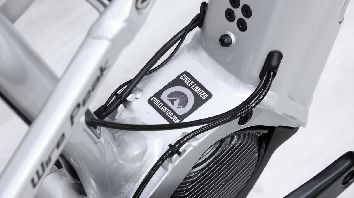 Fezzari Wire Peak Elite 29 Mountain E-Bike - 2021, Small