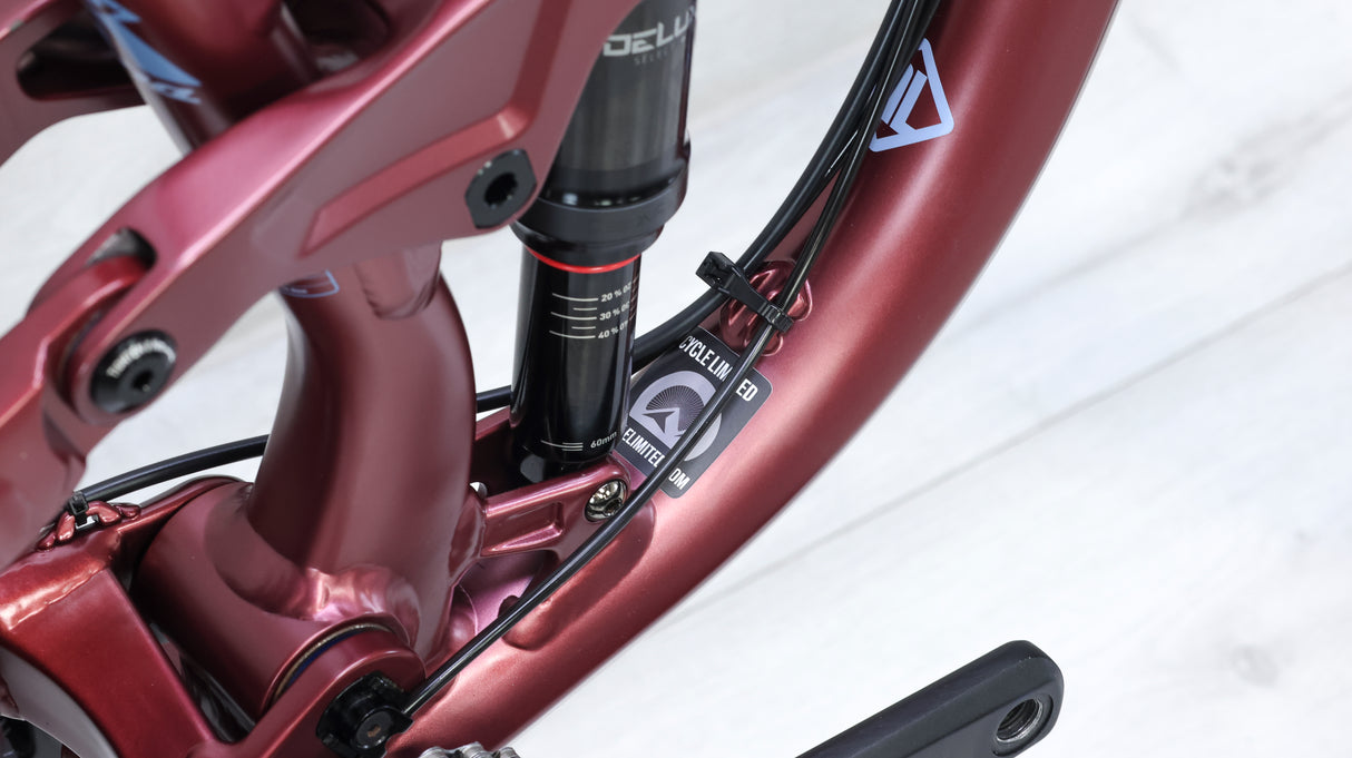 Kona Process 153 29 Mountain Bike - 2022, Medium