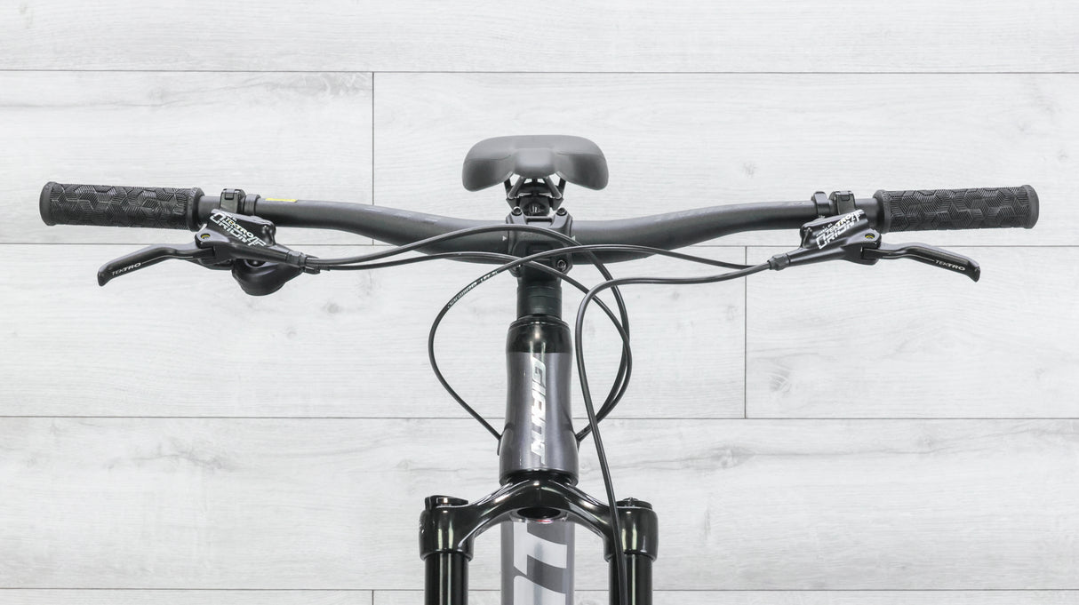 Giant Trance 29 3 Mountain Bike - 2021, X-Large