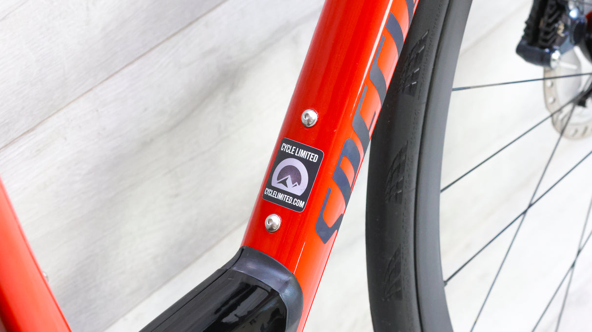 Specialized Roubaix Expert Road Bike - 2019, 52cm