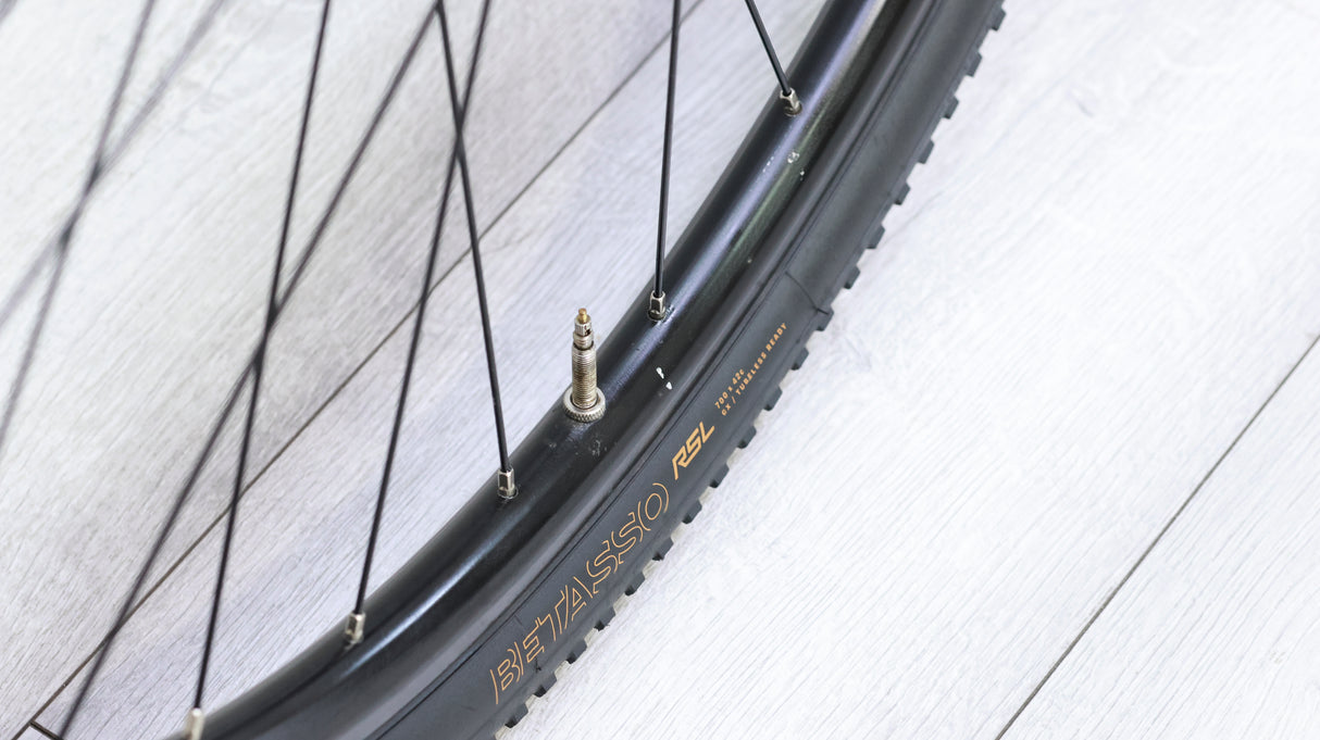 Trek Checkpoint SL 5 Gravel Bike - 2020, 56cm