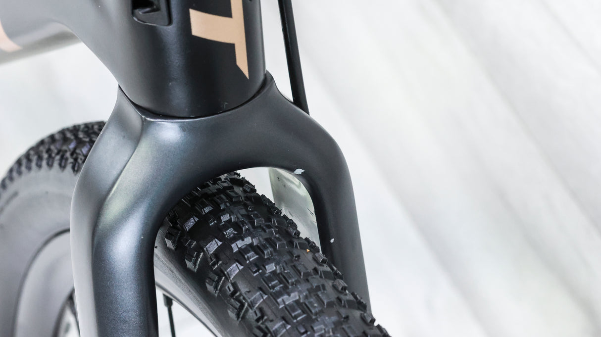 Giant Revolt Advanced 3 Gravel Bike - 2022, Large