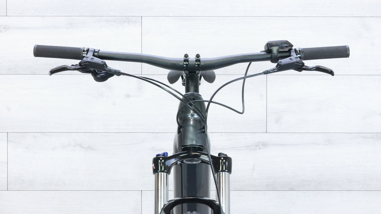 Trek Powerfly 4 Hardtail Mountain E-Bike - 2021, Medium