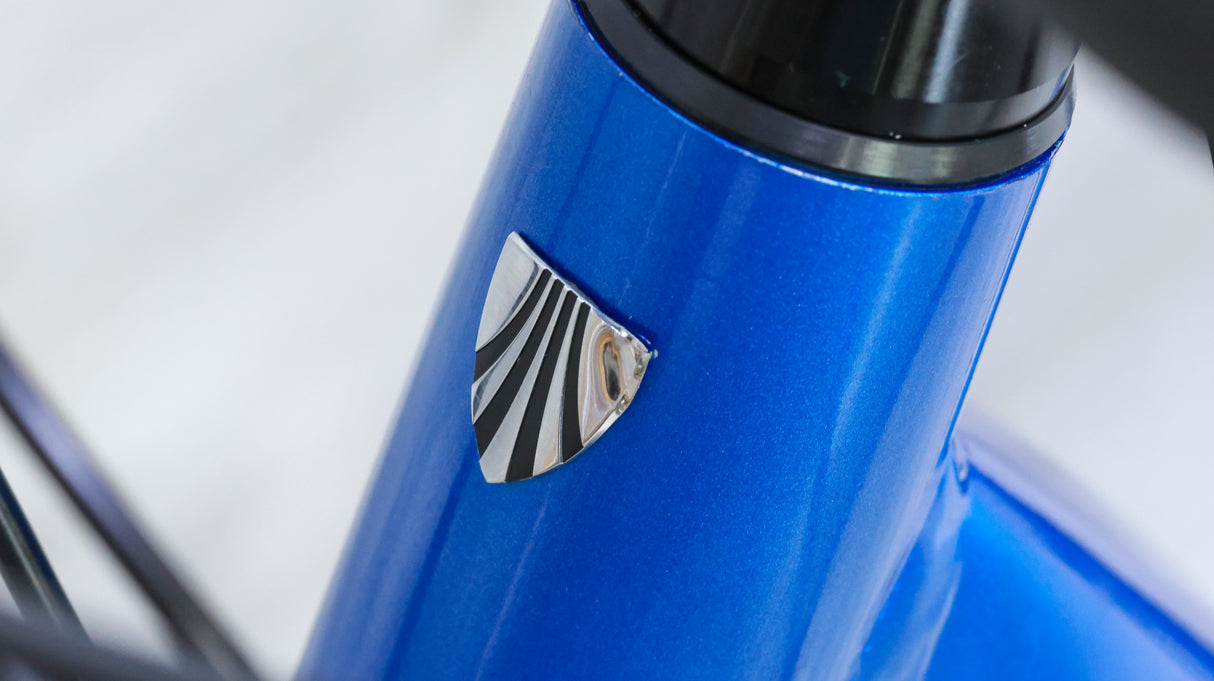 Trek Verve+ 3 Lowstep Gen 2 Commuter E-Bike - 2022, Large