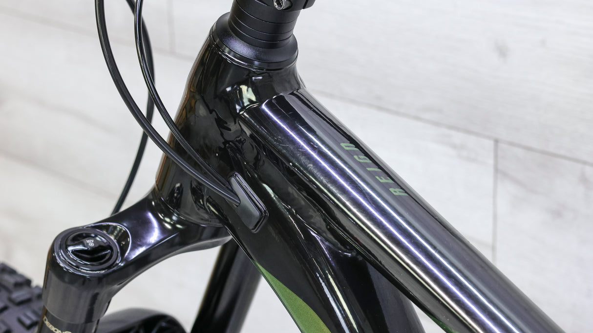 Giant Reign 29 2 Mountain Bike - 2021, Large