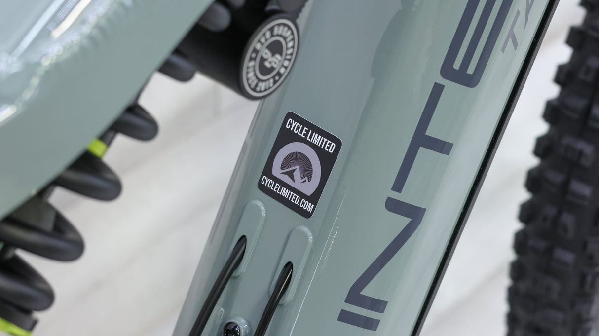 Intense Tazer MX Alloy Expert Mountain E-Bike - 2024, L/XL