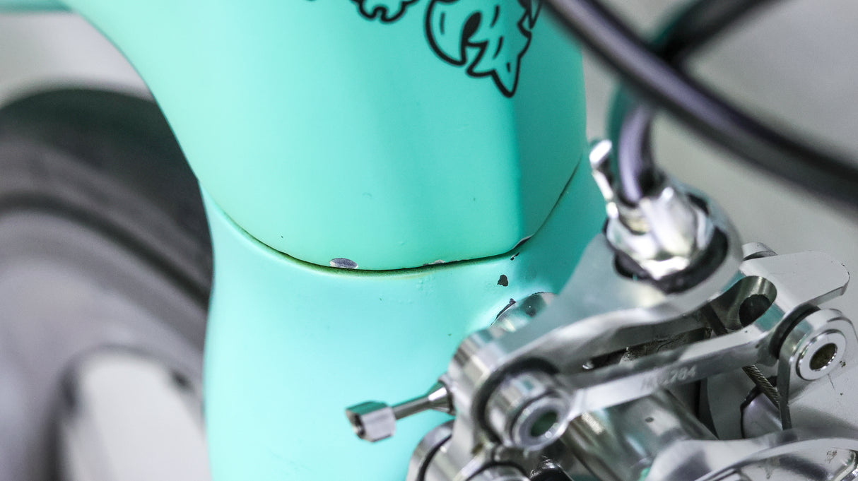 Bianchi Specialissima Road Bike - 2017, 53cm