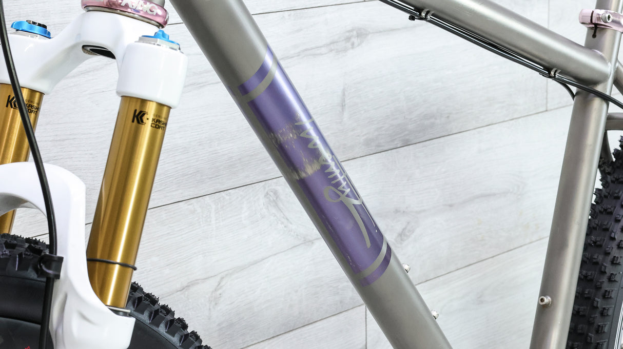 Twenty2 Cycles XX1 Titanium Hardtail Mountain Bike - 2018, X-Large