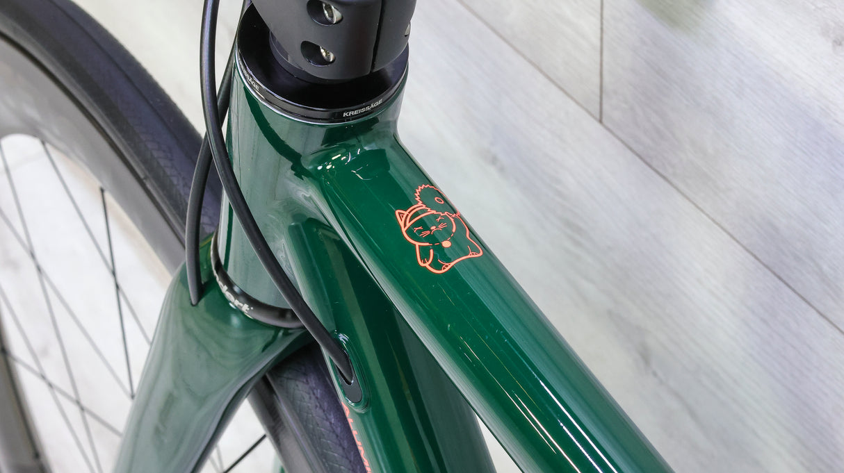 Standert Kreissage Disc Force AXS Road Bike - 2023, 48cm