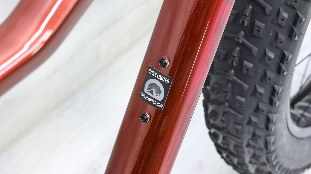 Salsa Mukluk Carbon GX Fat Bike - 2017, Medium