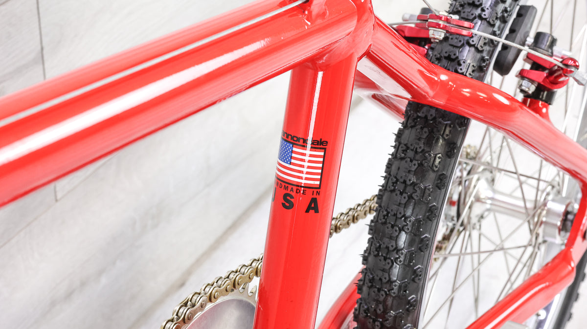 1995 Cannondale BMX Expert XL - Mid-School BMX Bike
