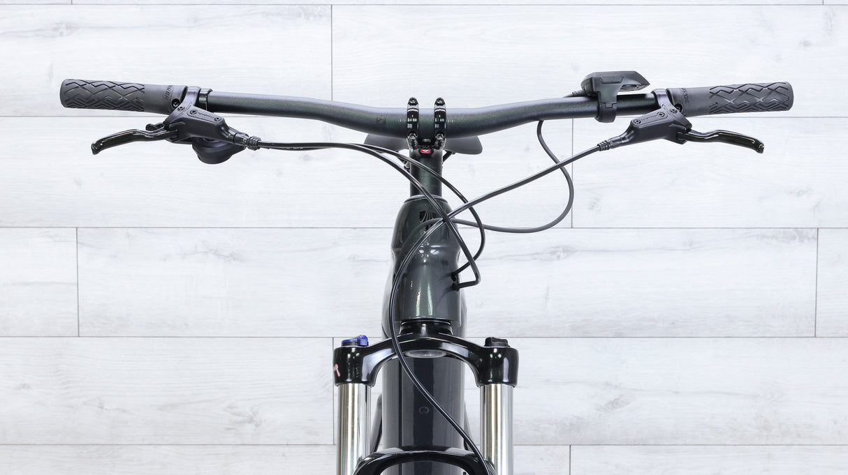 Trek Powerfly 4 Mountain E-Bike - 2022, Medium