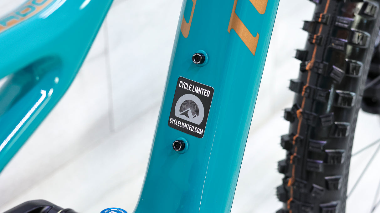 Niner RIP 9 RDO GX AXS Eagle Transmission Mountain Bike - 2026