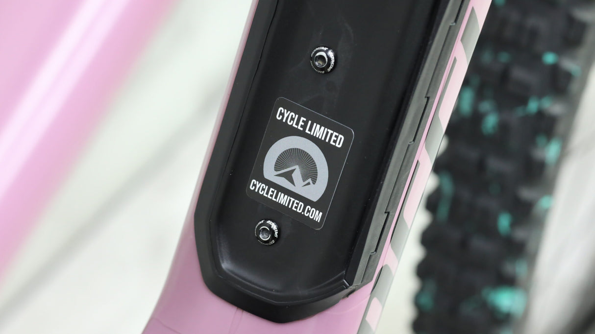 2020 Specialized Enduro Elite