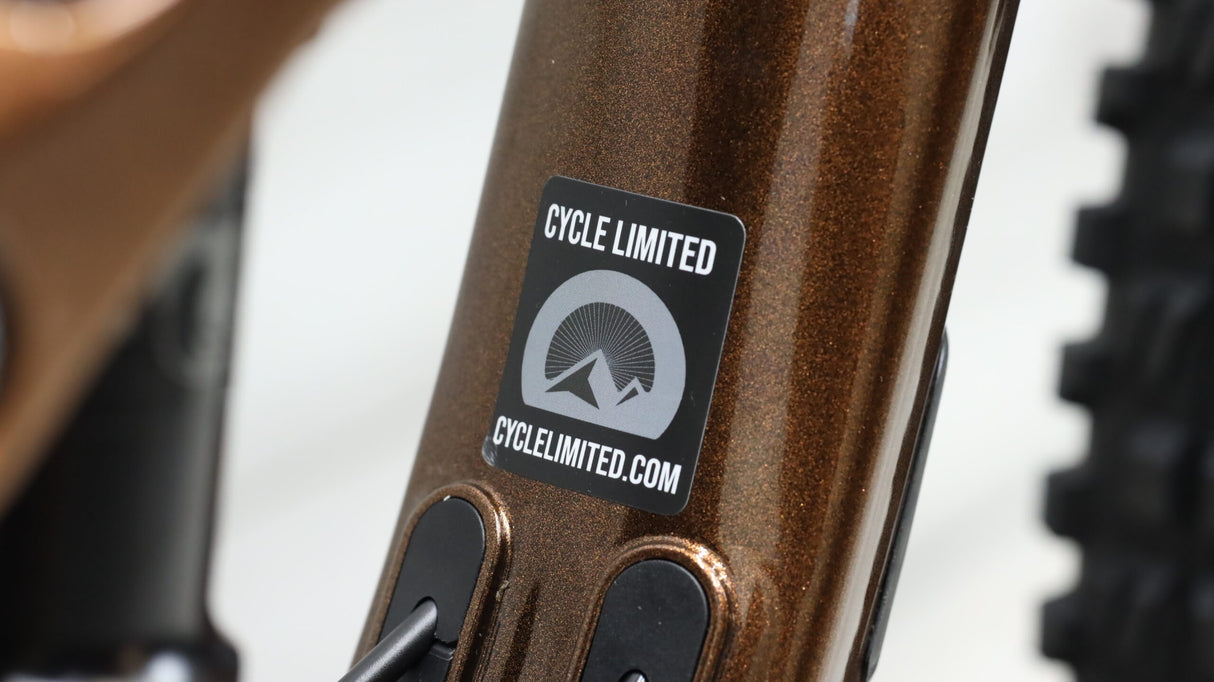 Bicicleta de montaña Giant Trance 29 1 2022 - Pequeña