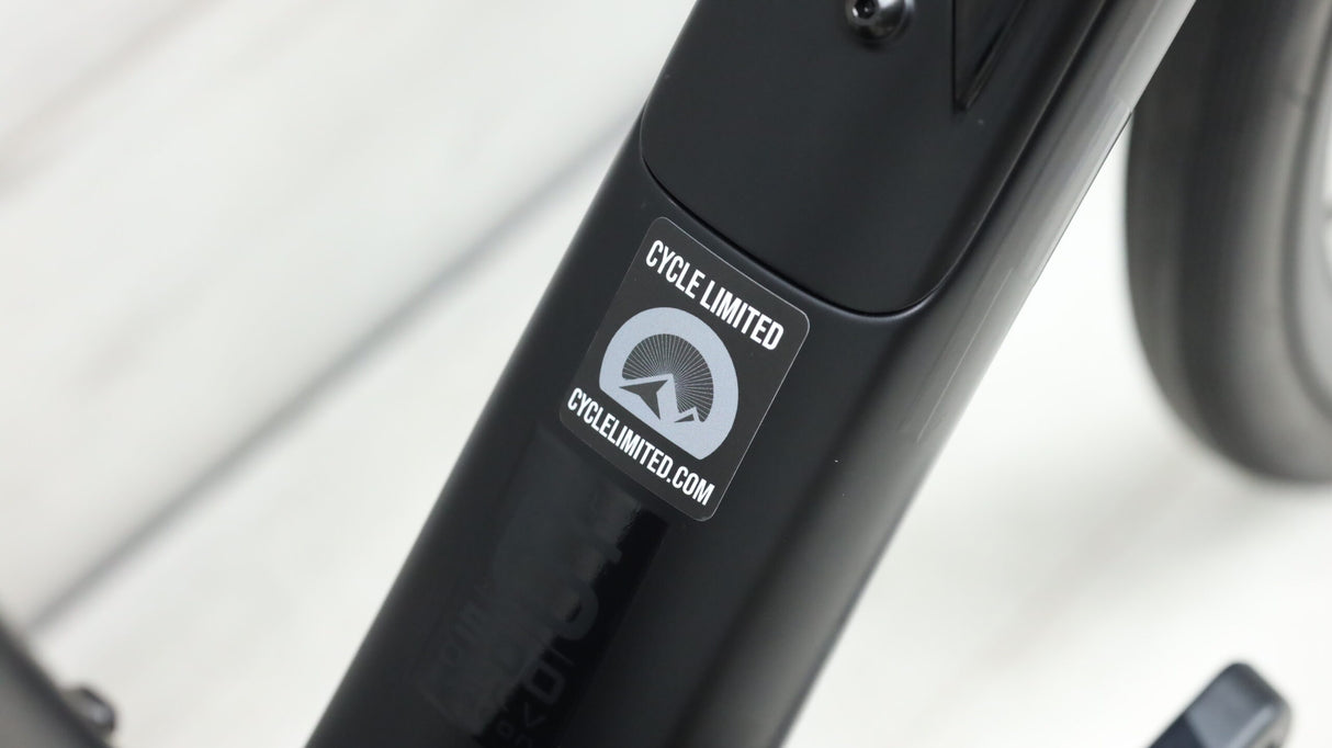 2021 Trek Domane SL 6