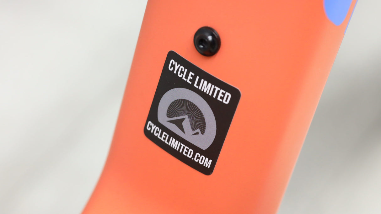 2022 Santa Cruz Blur C X01 AXS Reserve