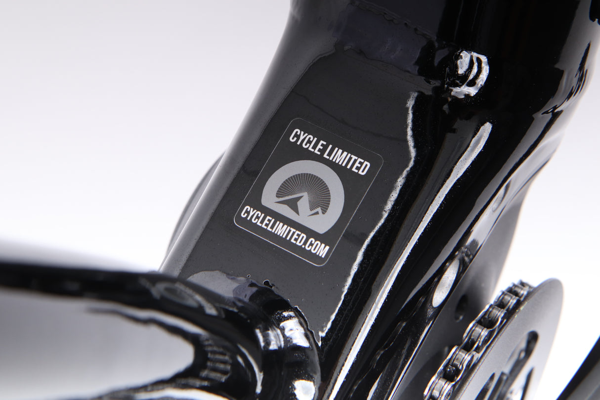 Bicicleta eléctrica de montaña Cannondale Tesoro Neo X 3 2021 - Mediana