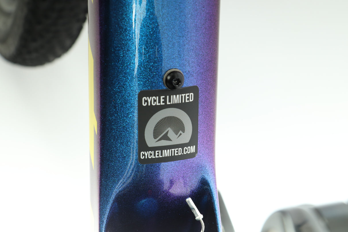 Bicicleta de montaña Scott Spark RC 900 Team Issue AXS 2020 - Extragrande