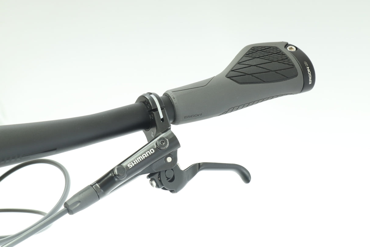 2020 BMC Alpenchallenge 01 One Commuter Bike - Medium