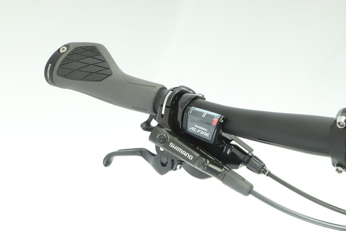 2020 BMC Alpenchallenge 01 One Commuter Bike - Medium