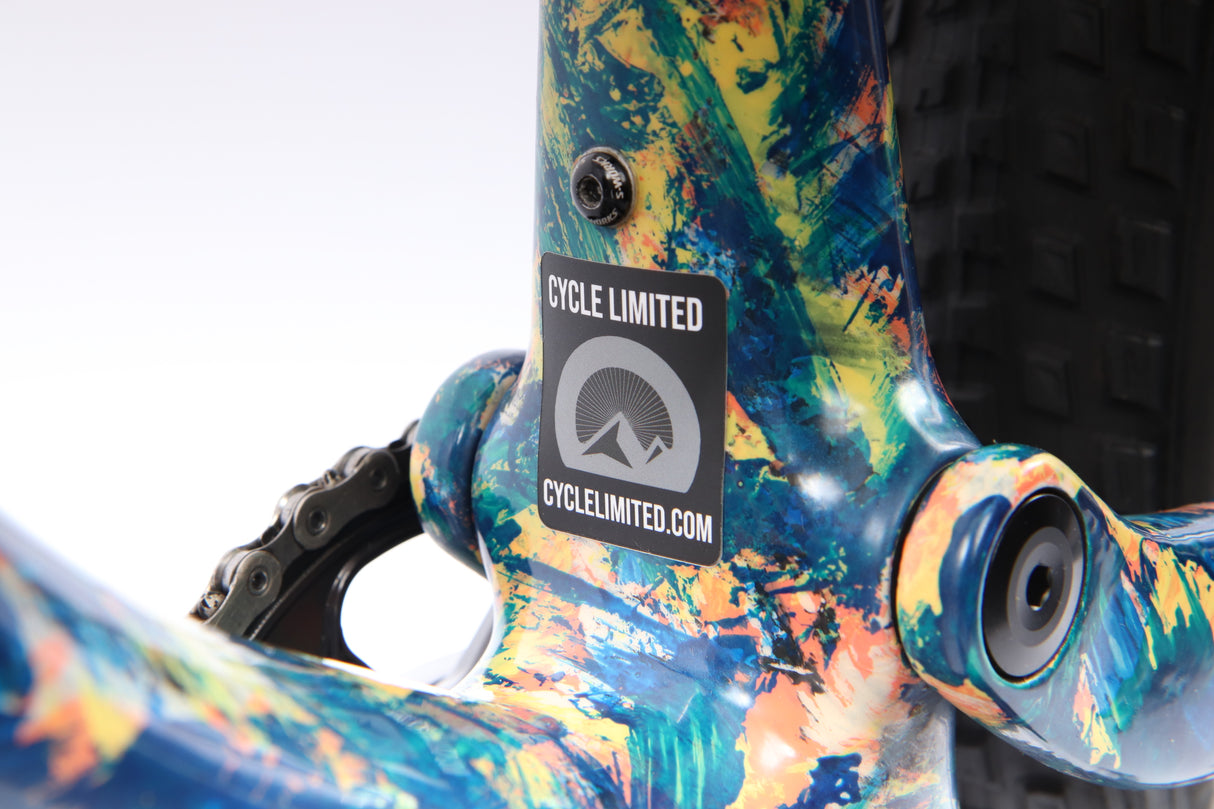 Bicicleta de montaña Specialized S-Works Epic 2020 - Grande