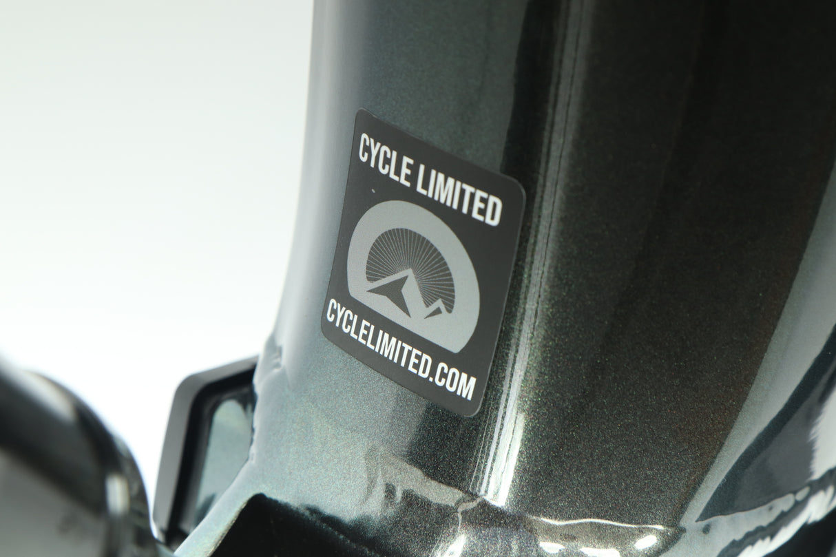 Bicicleta eléctrica de montaña Giant Stance E+ 2021 - Grande