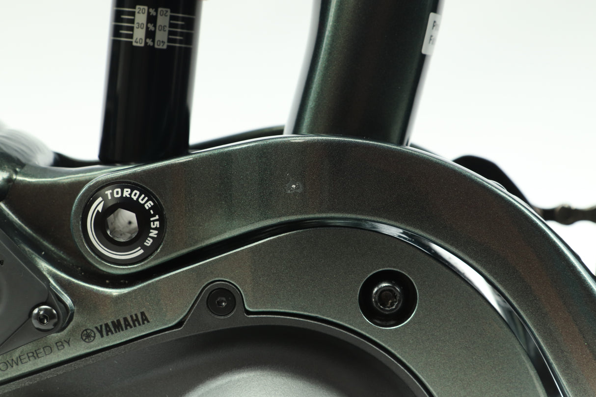 Bicicleta eléctrica de montaña Giant Stance E+ 2021 - Grande