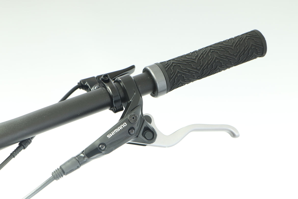 Felt Decree 30 Mountain Bike - 2017, Large