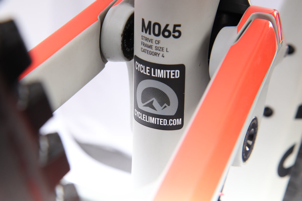 Bicicleta de montaña Canyon Strive CF 7.0 2020 - Grande