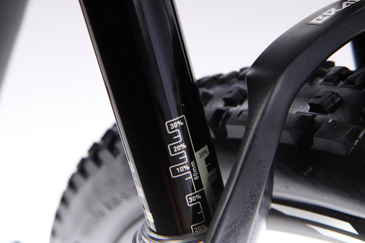 Bicicleta de montaña SPECIALIZED S-WORKS EPIC 29 WORLD CUP 2015 - Mediana