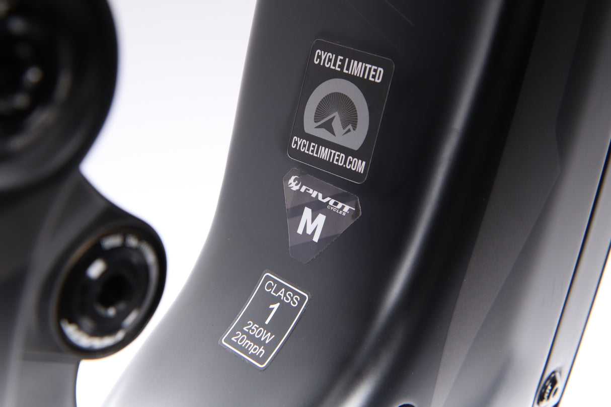 Bicicleta eléctrica de montaña Pivot Shuttle Race GX 2020 - Mediana