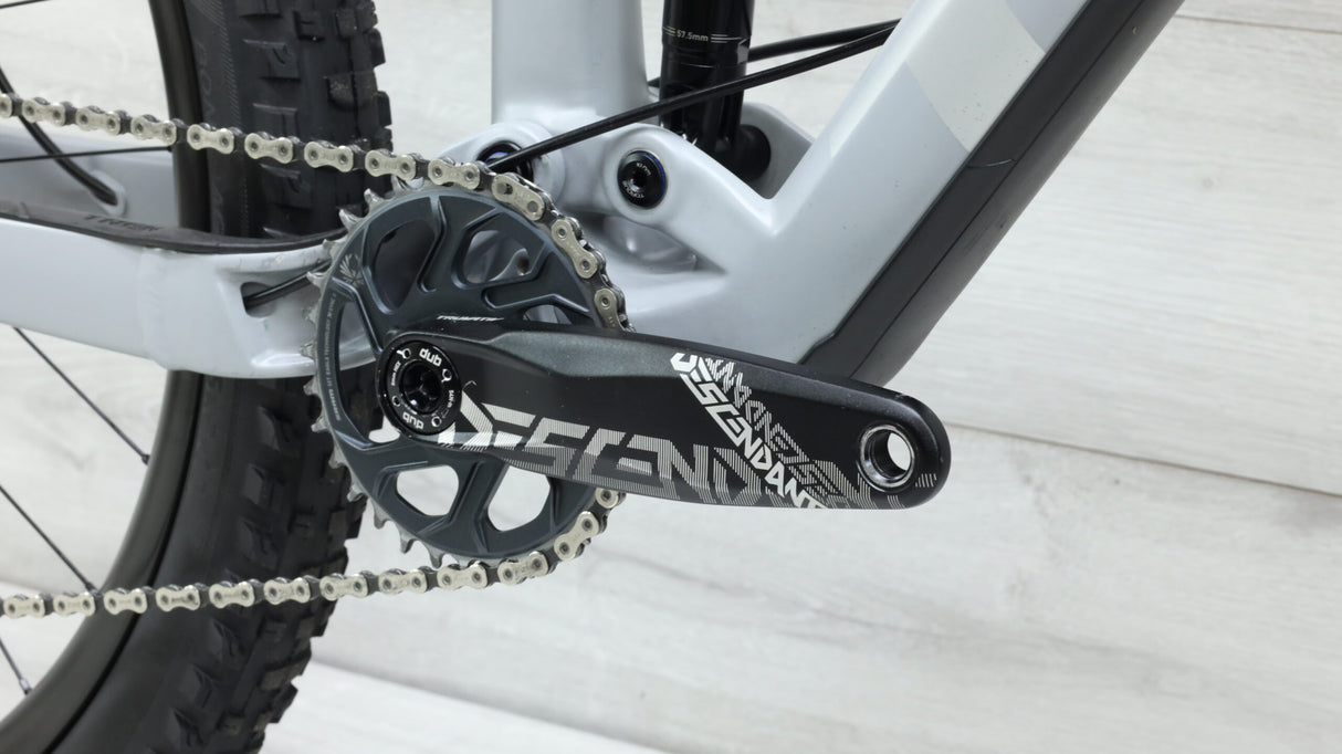 2019 Trek Remedy 9.8 Mountain Bike - Large