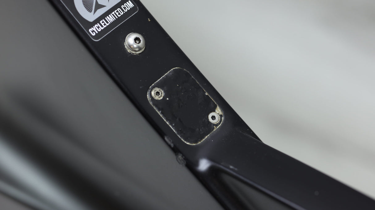 2021 Ceepo Shadow  Triathlon Bike - Large