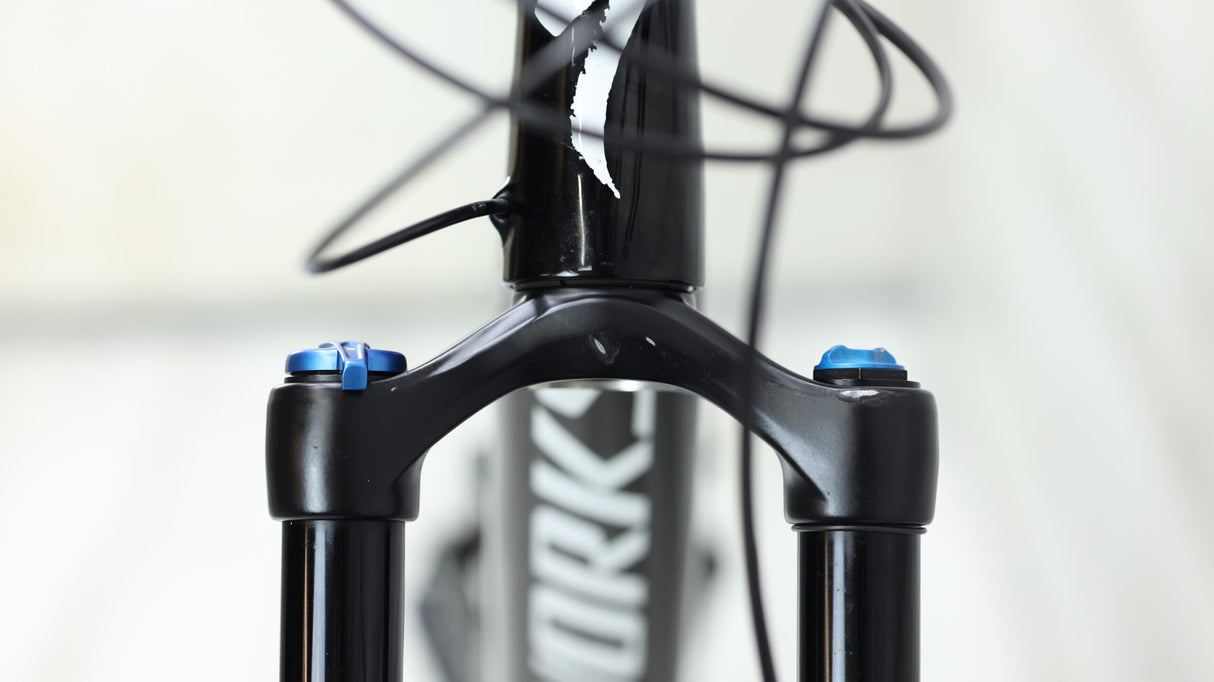 Specialized S-Works Stumpjumper Mountain Bike - 2020, Large