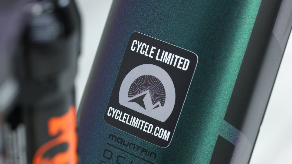 Trek Remedy 9.9 Mountain Bike - 2020, Medium