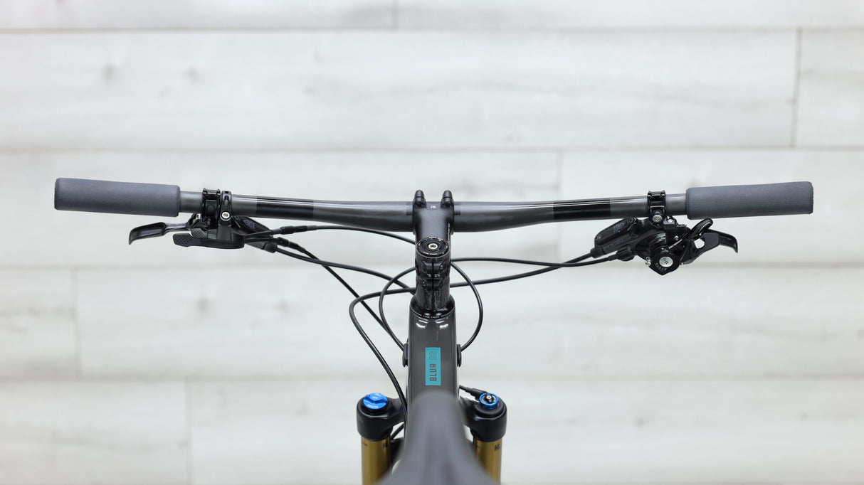 Bicicleta de montaña Santa Cruz Blur Carbon CC X01 2020 - Extragrande