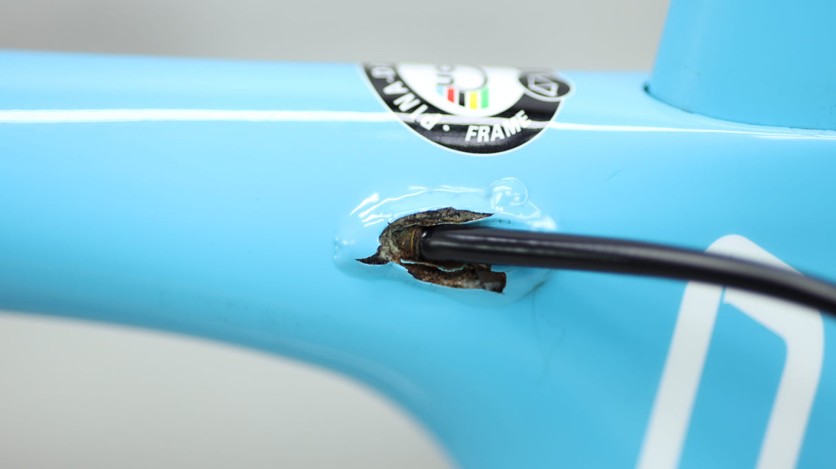 Pinarello Dogma F10  Road Bike - 2019, 55cm