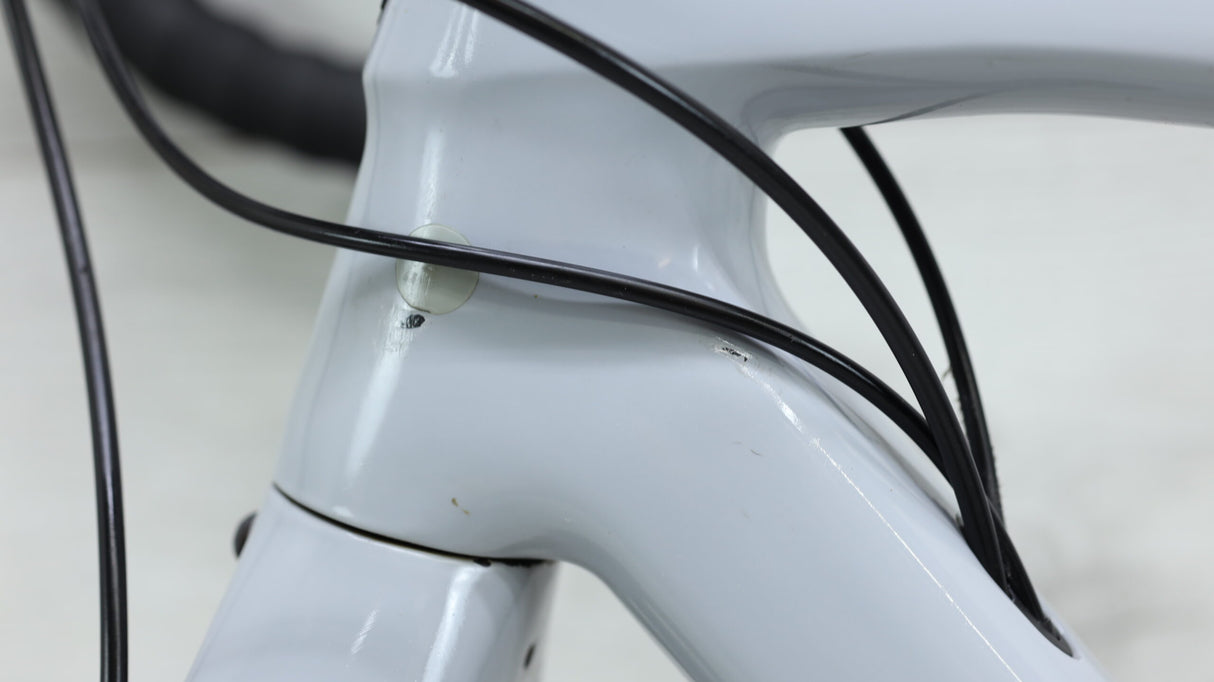 Bicicleta de grava Trek Checkpoint SL5 2020 - 54 cm