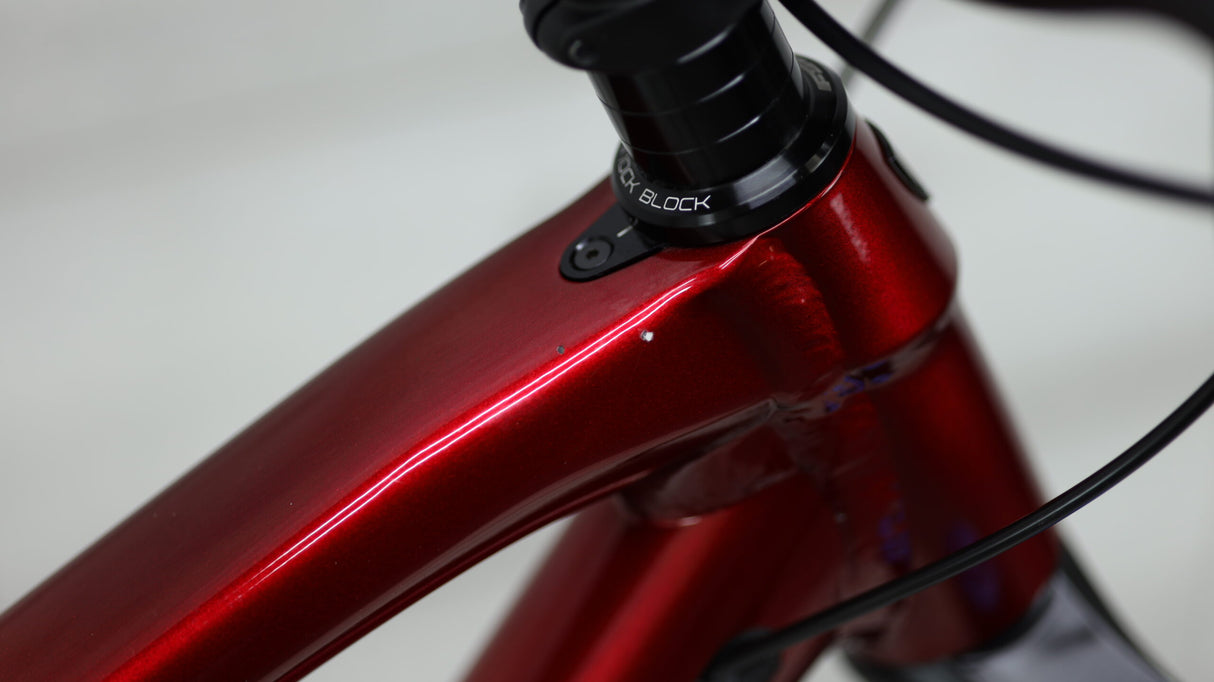 Bicicleta de montaña Trek Fuel EX 8 2022 - Extragrande